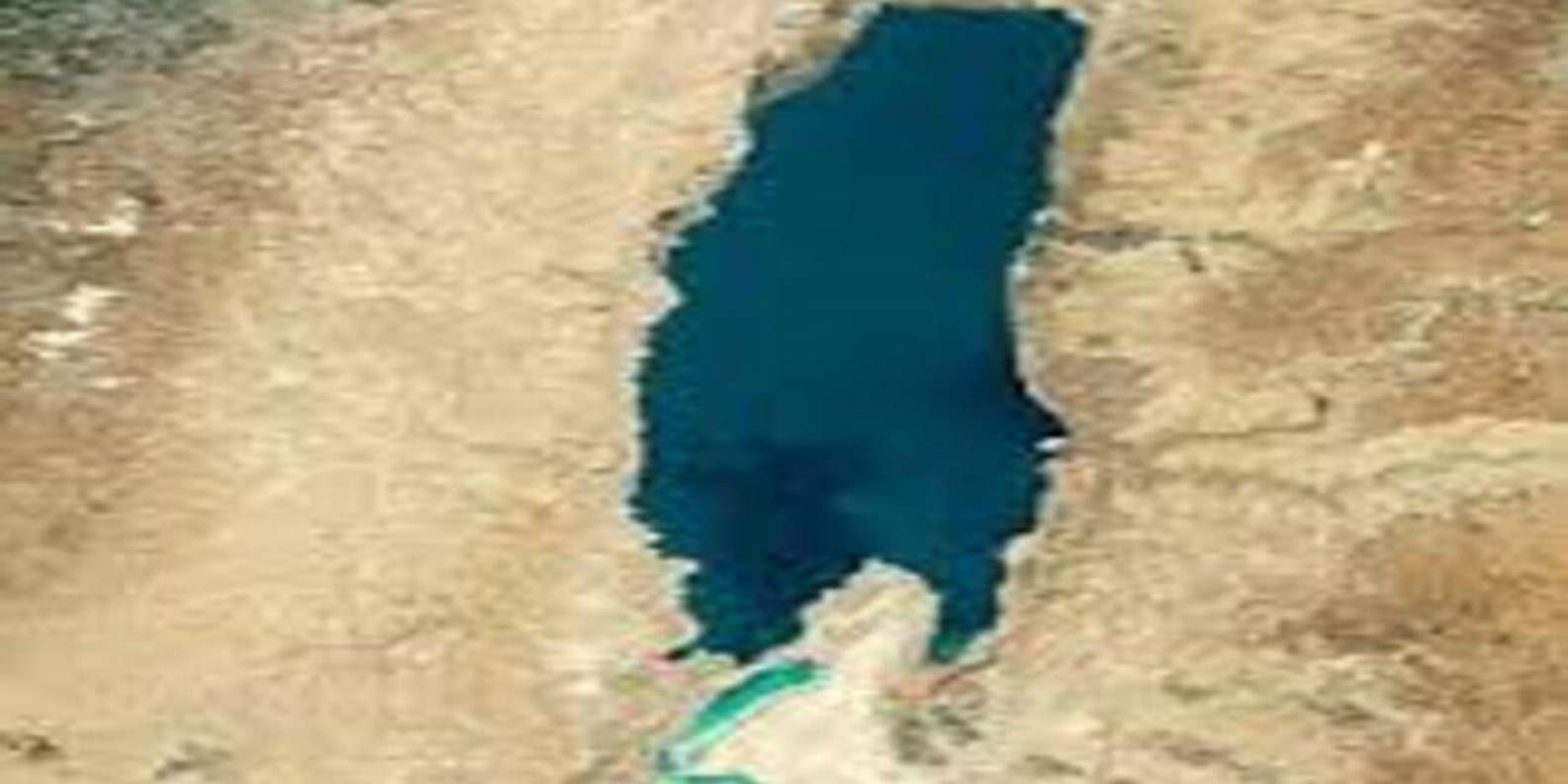 section