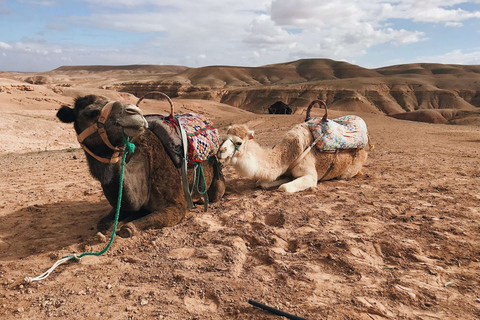 Cena magica nel deserto di Agafay e esperienza al tramonto