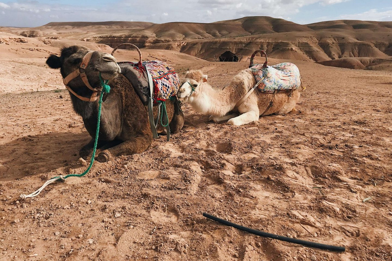 Cena magica nel deserto di Agafay e esperienza al tramonto