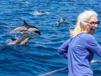 Dana Point Dolphin & Whale Watching con la visione sottomarina - Housity