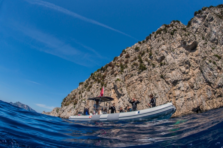Begeleid snorkelen met een zeebioloog uit Sorrento