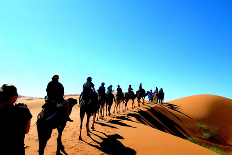 Excursión por el desierto de Marrakech con campamento de lujo