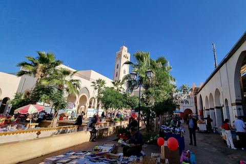 Agadir: półdniowa wycieczka z przewodnikiem