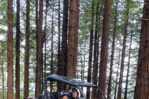 Madeira: Private Off-Road Buggy Driving Experience