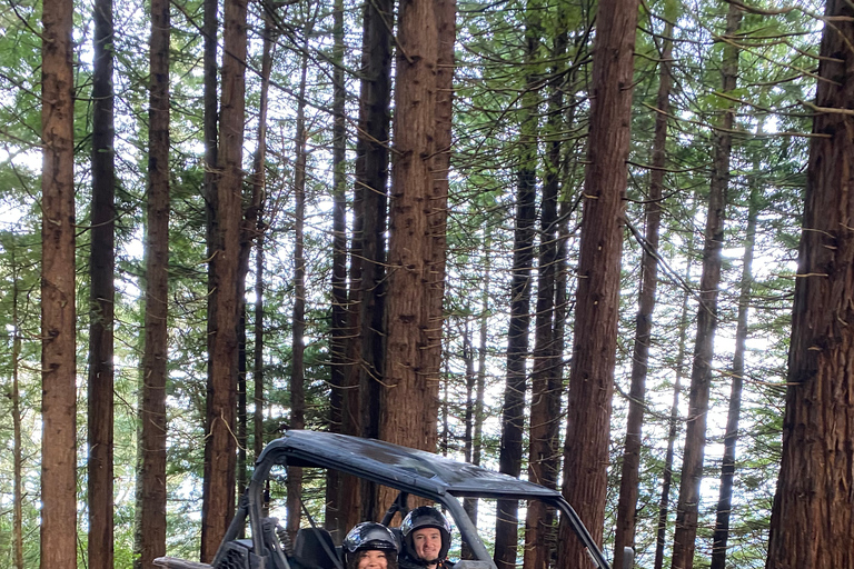 Madeira: Private Off-Road Buggy Driving Experience