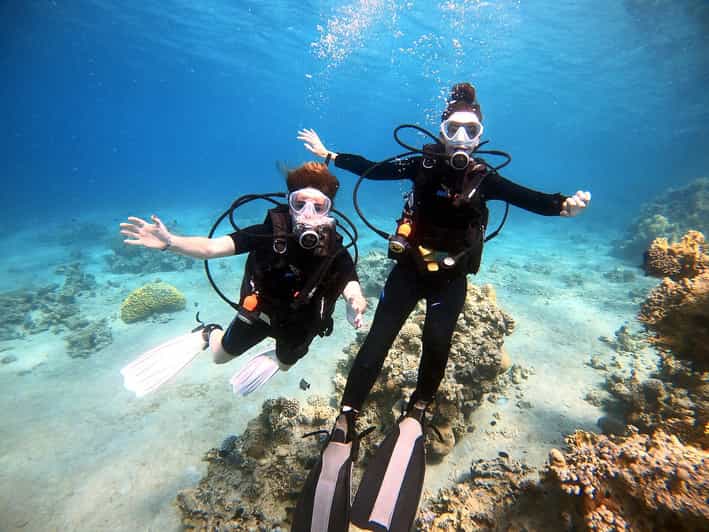 Aqaba Guided Scuba Diving Adventure from Boat GetYourGuide