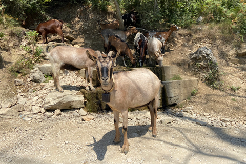 Von Durres: Wanderung zum Berg Gamti mit Blick auf den Bovilla-See