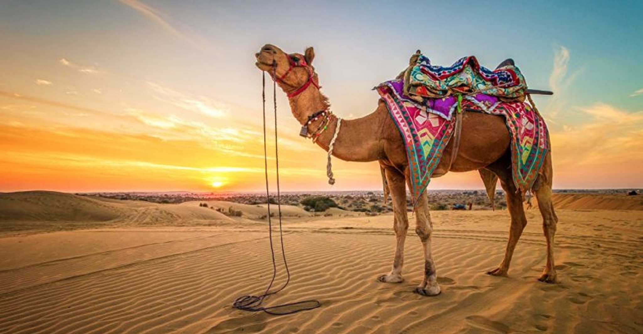 Sharm El Sheikh, ATV, Camel Ride with BBQ Dinner and Show - Housity