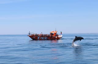 Albufeira: Osservazione dei delfini e Grotta di Benagil