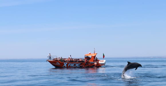 Best Benagil Cave Boat Tours (2026): Ranked, Prices & How to Book Boat trip from Albufeira at the Benagil cave with a swim stop