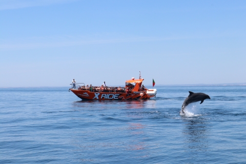 Albufeira: 2,5-godzinny rejs do jaskiń i obserwacja delfinówWycieczka współdzielona w małej łodzi – obserwacja delfinów