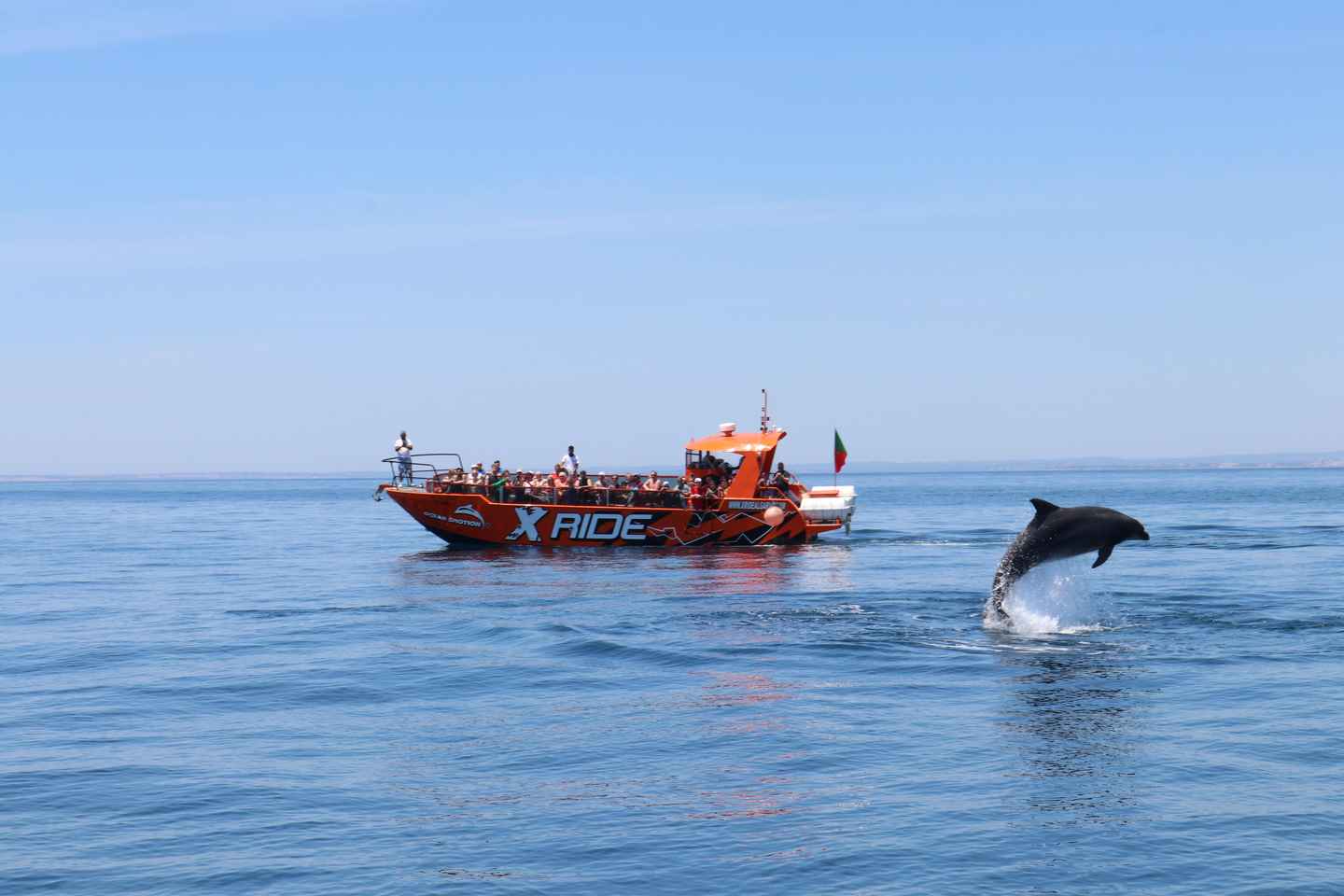 Albufeira: Dolphin Watching and Benagil Cave - Benagil, Caves and Dolphin Search Albufeira - Large Boat