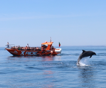 Albufeira: Dolfijnen kijken en Benagil Grot