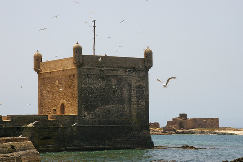 Desde Agadir: Excursión guiada de un día a Essaouira