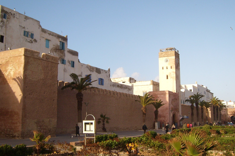 Desde Agadir: Excursión guiada de un día a Essaouira