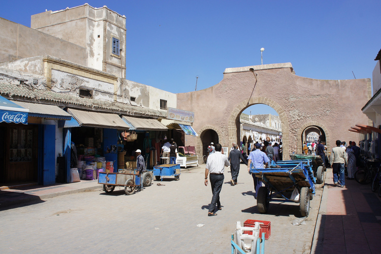 Desde Agadir: Excursión guiada de un día a Essaouira