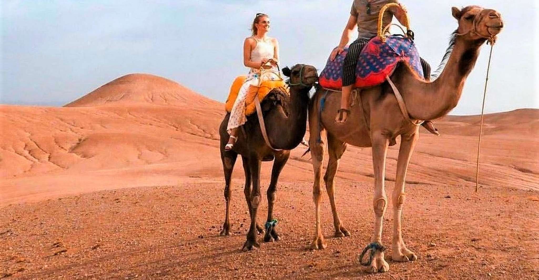 Da Marrakech, Agafay Desert Sunset Cena & Camel Ride - Hizvo