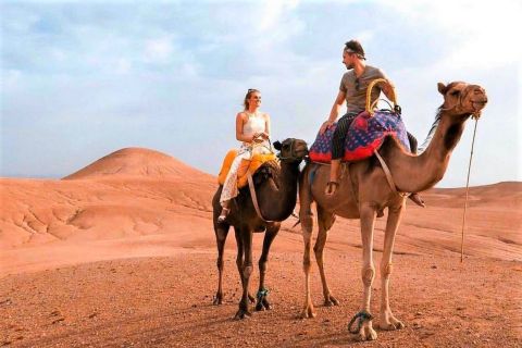 Vanuit Marrakech: Agafay woestijn zonsondergang diner & kamelentocht