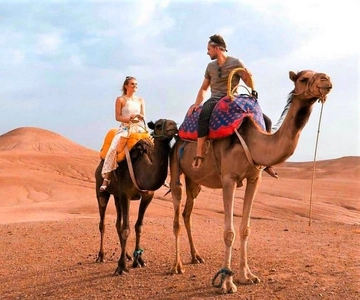 From Marrakech: Agafay Desert Sunset Dinner & Camel Ride