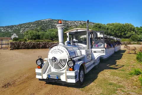 Trenino Supramonte: Guided tour of Golgo plateau
