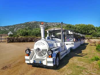 Trenino Supramonte: Guided tour of Golgo plateau