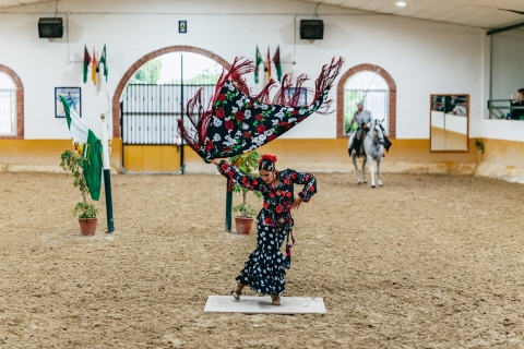 Andalusië: paarden- en flamencoshow