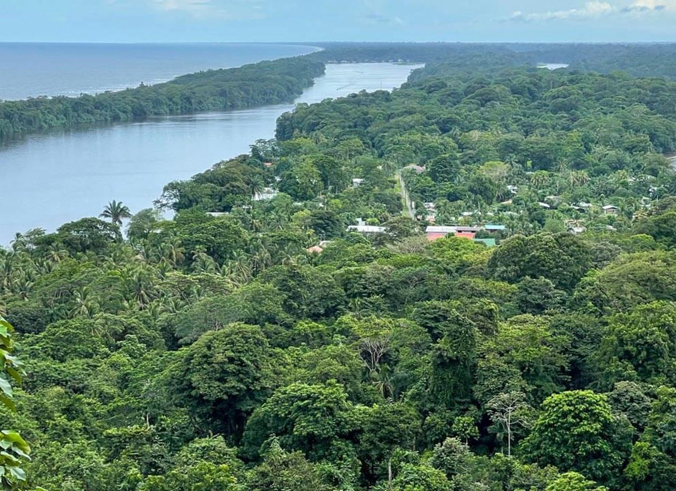 Tortuguero: Tur i Tortuguero-bjerget (sovende vulkan)