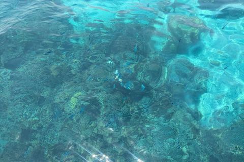 Zanzibar;Blue Safari Snorkeling & Blue Lagoon with BBQ lunch Pickup anywhere (All inclusive)