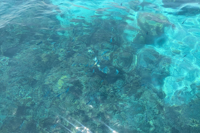 Zanzibar;Blue Safari Snorkeling & Blue Lagoon with BBQ lunch Pickup anywhere (All inclusive)