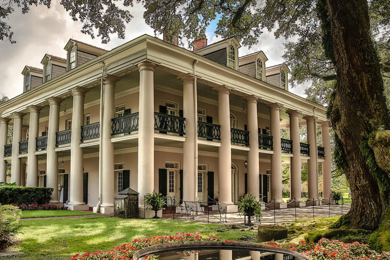 New Orleans: Tour di mezza giornata della piantagione di Oak Alley