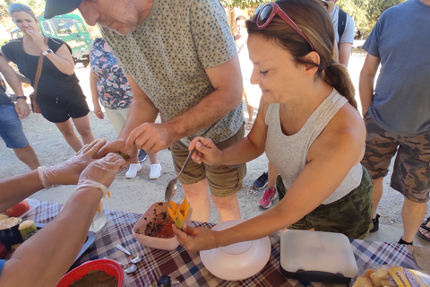 Creta: Passeio turístico de um dia com aula de culinária e almoçoCreta: excursão turística com aula de culinária e almoço