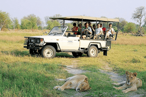 Excursión de 3 días a Zimbabue, Zambia y Botsuana: safari, cataratas de Vic