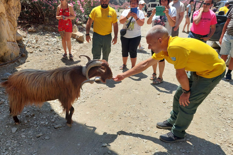 Crete: Zaros and Trypiti Gorge Off-Road Tour w/ Lunch & Wine Crete: Trypiti Gorge and South Cretan sea Safari