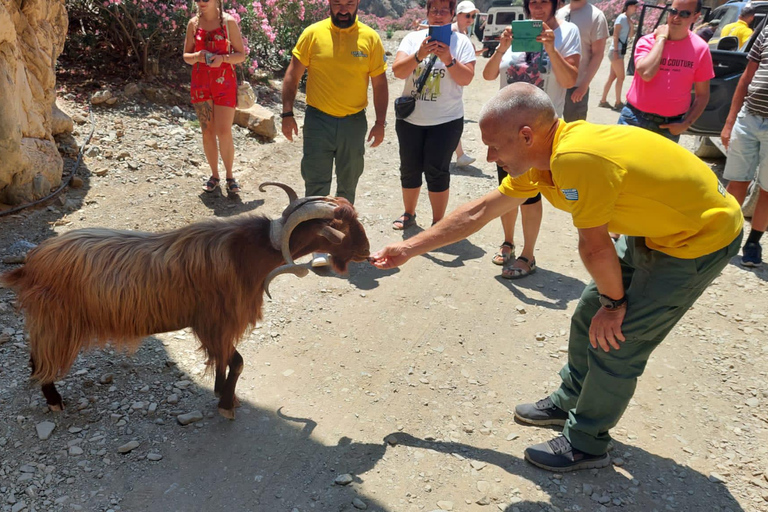 Crète : Safari dans les gorges de Trypiti et la mer du sud de la Crète