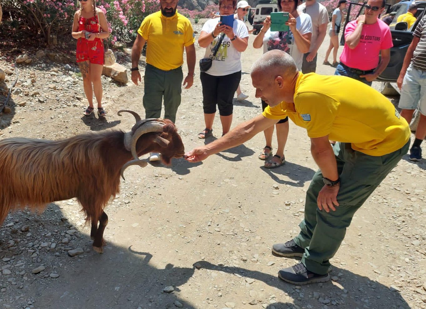 Kreta: Lasithi-plateauet og Zeus' hule Off Road Safari Tour
