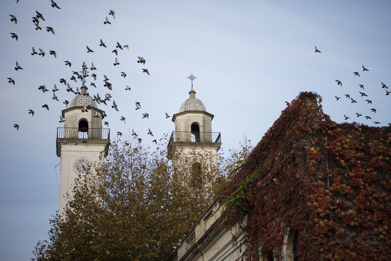 Private Walking Tour in Colonia Del Sacramento