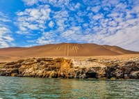 From Paracas, Guided Boat Tour to the Ballestas Islands - Hizvo