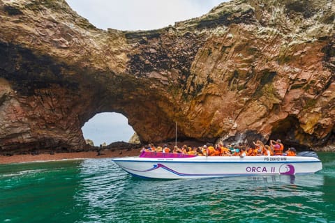 Ballestas Islands, Paracas - Book Tickets & Tours | GetYourGuide