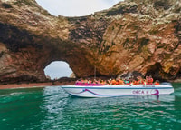 From Paracas, Guided Boat Tour to the Ballestas Islands - Hizvo