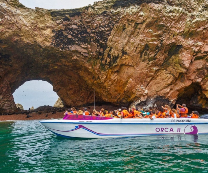 From Paracas: Guided Excursion to the Ballestas Islands