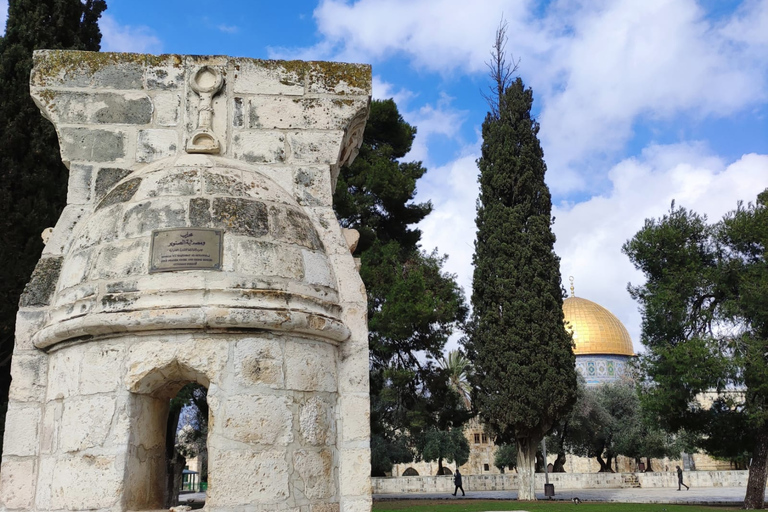 Jerusalém: Tour com Guia PrivadoTour de 3 horas com guia particular em idiomas selecionados