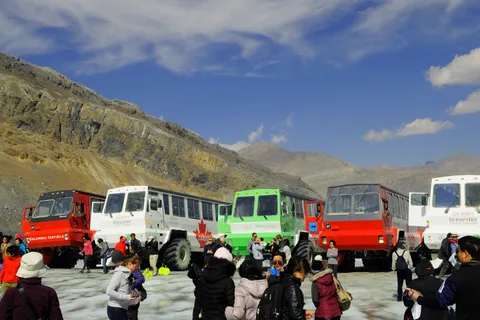 Calgary/Banff: Private Columbia Icefield Glacier Day Tour