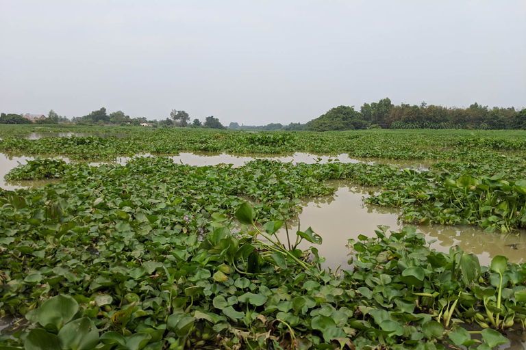 Túneles de Cu Chi y Delta del Mekong Tour en grupo reducido Día completo