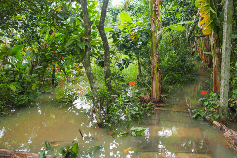 Cu Chi Tunnels & Mekong Delta Small Group Tour Full Day