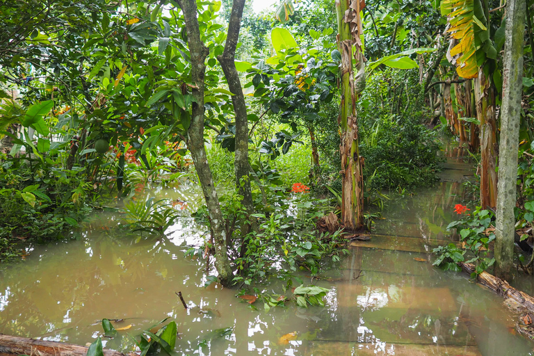 Túneles de Cu Chi y Delta del Mekong Tour en grupo reducido Día completo