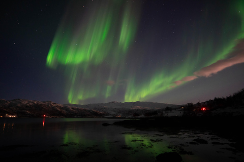 Tromsø: Wycieczka do zorzy polarnej z lokalnym przewodnikiem i lokalnym jedzeniem