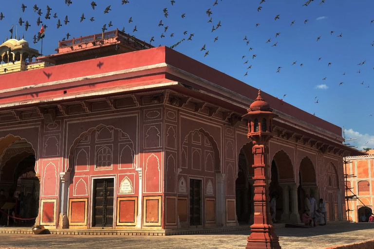 Visite d'une journée du fort d'Amer et de la ville de Jaipur depuis Delhi en voitureAI- AC Car, Guide, Déjeuner & Billets d'entrée aux monuments