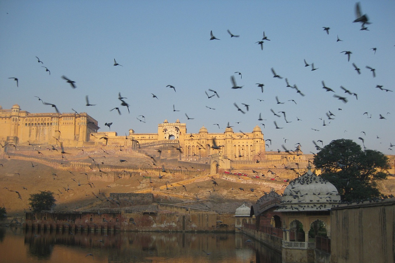 One Day Amer Fort & Jaipur City Tour From Delhi By Car AI- AC Car, Guide, Lunch & Monument Tickets