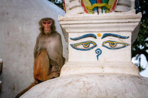 Bhaktapur, Kathmandu, Patan Heritage Tour: Kulturelle Juwelen