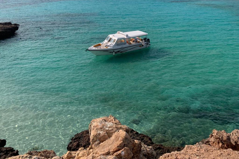 Excursión de snorkel en las Islas DaymaniyatExcursión de snorkel en las Islas Daymaniat